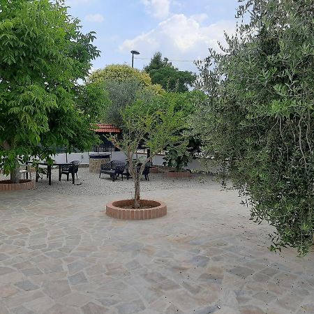 Ferienwohnung La Casa Di Ely Agropoli Exterior foto